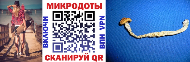 Галлюциногенные грибы прущие грибы Галич