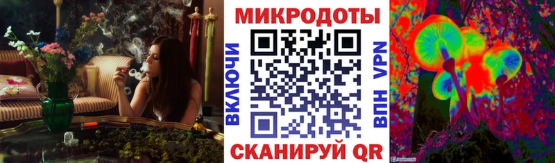 Псилоцибиновые грибы Cubensis  Купить где  Галич 